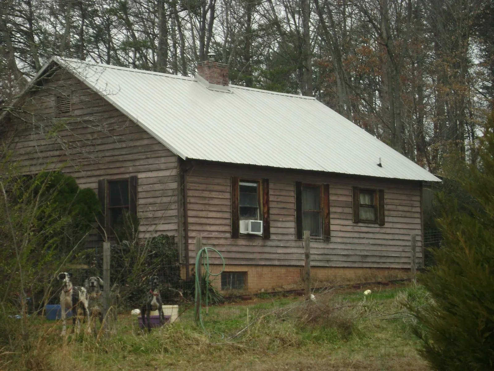 White metal roof on an old wood sided farmhouse, from a Asphalt Shingle Roof Repair job in Herrick